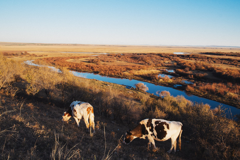 呼伦贝尔，草原之美与风情之旅