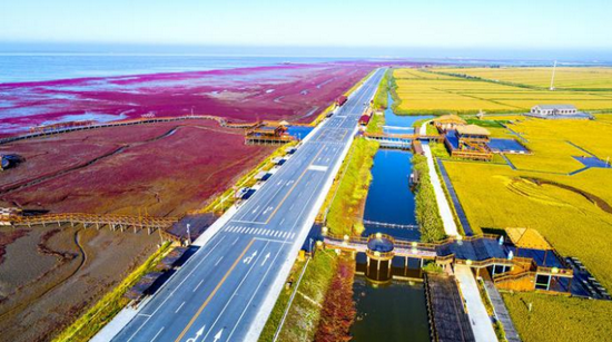 盘锦任务完成指南,初学者与进阶用户如何学习技能或完成任务?