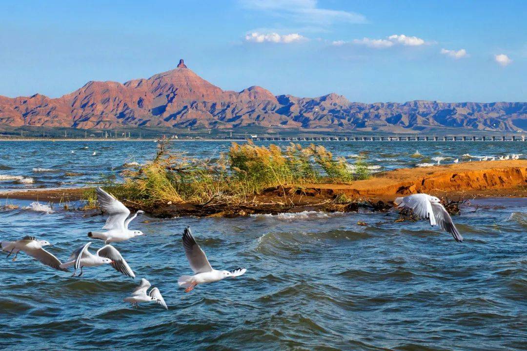 乌海智造,开启未来生活新篇章